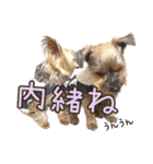 レオン・ナナ（個別スタンプ：18）