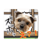 レオン・ナナ（個別スタンプ：22）