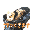 レオン・ナナ（個別スタンプ：23）
