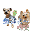レオン・ナナ（個別スタンプ：24）