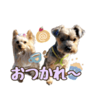 レオン・ナナ（個別スタンプ：25）
