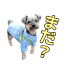 レオン・ナナ（個別スタンプ：30）