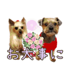 レオン・ナナ（個別スタンプ：31）