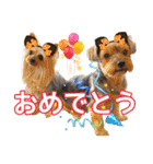 レオン・ナナ（個別スタンプ：36）