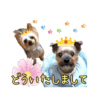 レオン・ナナ（個別スタンプ：38）
