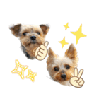 レオン・ナナ（個別スタンプ：39）