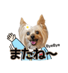 レオン・ナナ（個別スタンプ：40）