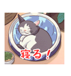 ねこどんぶり（個別スタンプ：5）