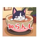 ねこどんぶり（個別スタンプ：10）