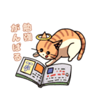 双子ねこ（個別スタンプ：10）