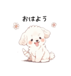 マルチーズの子犬♡（個別スタンプ：1）