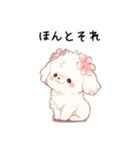 マルチーズの子犬♡（個別スタンプ：11）