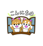 柴犬日和(日常)（個別スタンプ：2）