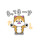 柴犬日和(日常)（個別スタンプ：5）