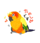 好き❤️インコちゃんず（個別スタンプ：6）