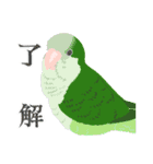 好き❤️インコちゃんず（個別スタンプ：9）