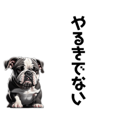 [LINEスタンプ] やる気なしブルドッグ