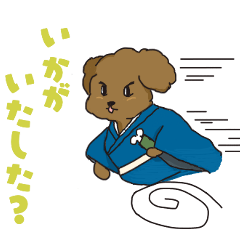 [LINEスタンプ] ぷうどる侍 プードル犬の武士参上