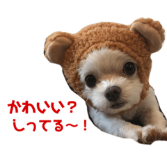 [LINEスタンプ] マルチワのとろろのスタンプ