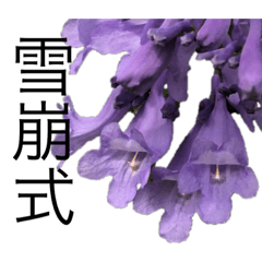 [LINEスタンプ] 花 dodoスタンプ296flowerの画像（メイン）