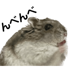 [LINEスタンプ] 話を変えてくれるミッシェル