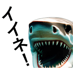 [LINEスタンプ] リアルなサメで挨拶の画像（メイン）