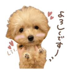 [LINEスタンプ] リルちゃんdeformation