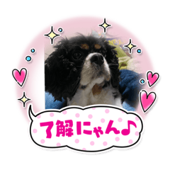 [LINEスタンプ] くにみちくん