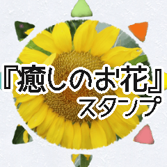 [LINEスタンプ] 【癒しのお花スタンプ】の画像（メイン）