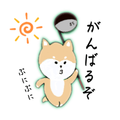 [LINEスタンプ] 柴いぬちゃん85