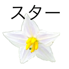 [LINEスタンプ] 花 dodoスタンプ297flower