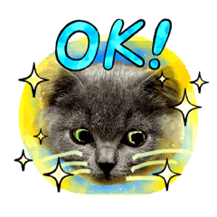 [LINEスタンプ] ネコちゃんの毎日癒される
