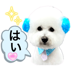 [LINEスタンプ] ビションフリーゼベンツくん7