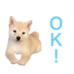 [LINEスタンプ] まる乃ふく乃