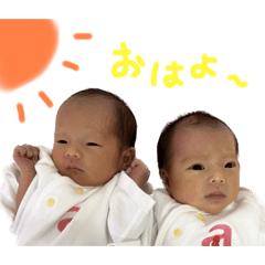[LINEスタンプ] 双子とその姉貴