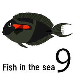 [LINEスタンプ] fish in the sea 9