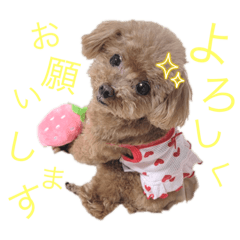 [LINEスタンプ] familly 4.