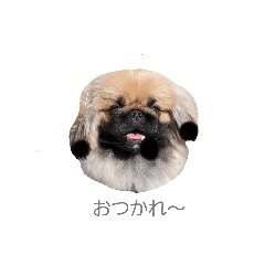 [LINEスタンプ] BMペキ(空)
