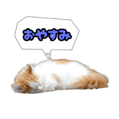 [LINEスタンプ] ミル君スタンプ