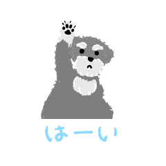 [LINEスタンプ] 毎日使えるミニチュアシュナウザースタンプ