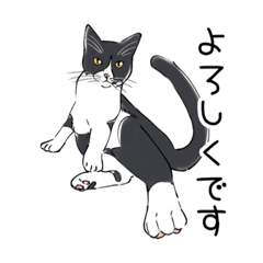 [LINEスタンプ] ハチワレねこ（第2.5弾）