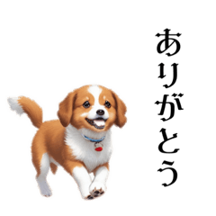 [LINEスタンプ] 可愛い犬の スタンプ0