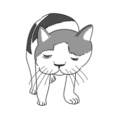 [LINEスタンプ] 集え！みんなのねこちゃん