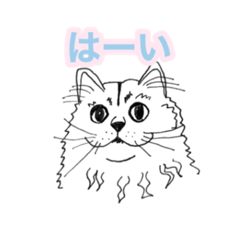 [LINEスタンプ] らくがき猫のむむ