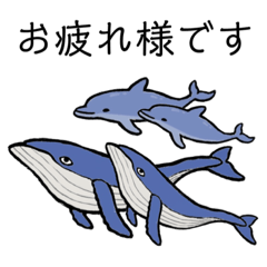 [LINEスタンプ] クジラとイルカ②