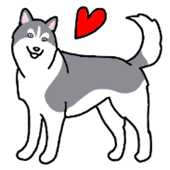 [LINEスタンプ] 犬種別シベリアンハスキー