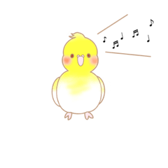 [LINEスタンプ] うちのオカメインコ ルルちゃん