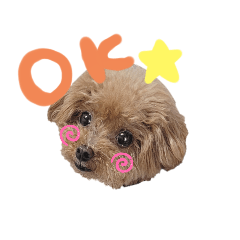 [LINEスタンプ] うちの子スタンプ•ᴗ•