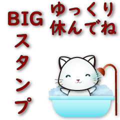 [LINEスタンプ] 実用的な大きなステッカー-かわいい白猫