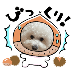 [LINEスタンプ] ウヲル様のかわいいスタンプ3の画像（メイン）